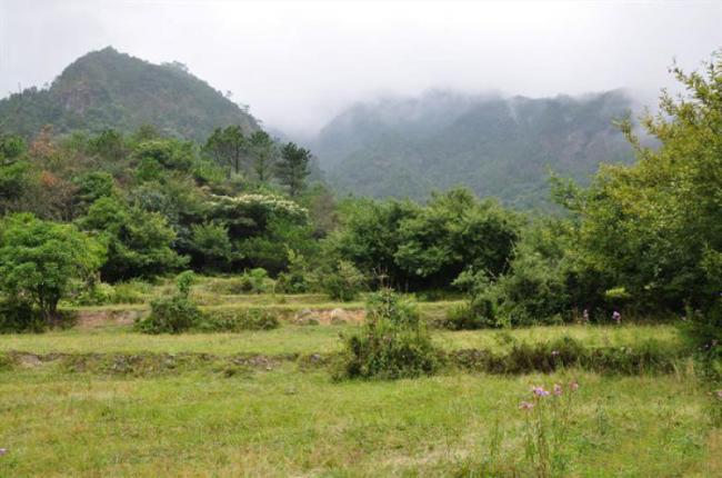 連城廖天山 (4)_連城廖天山