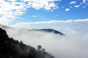 連城廖天山 (3)_連城廖天山