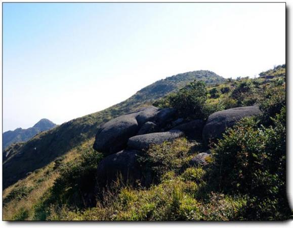 武平梁野山 (3)_武平梁野山