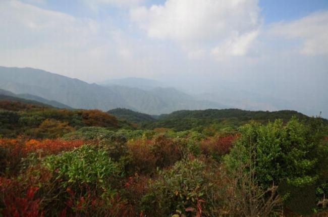 寧化牙梳山 (5)_寧化牙梳山