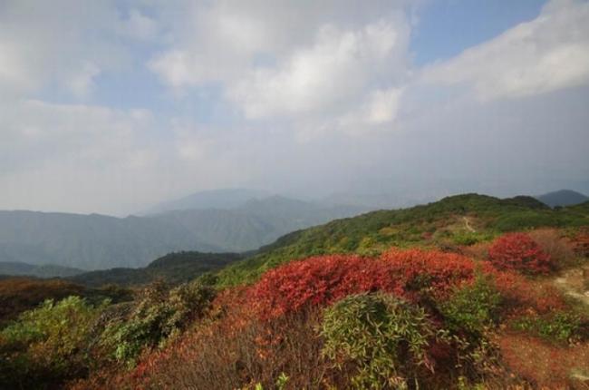 寧化牙梳山 (4)_寧化牙梳山