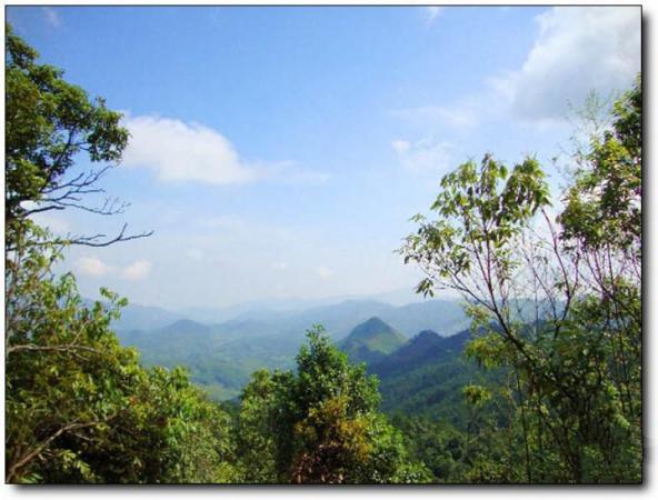 尤溪大拇指山 (1)_尤溪大拇指山