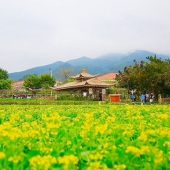 大曦山郊野公園