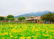 大曦山郊野公園