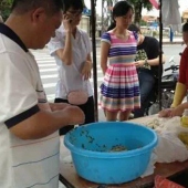 同安南門橋煎餃