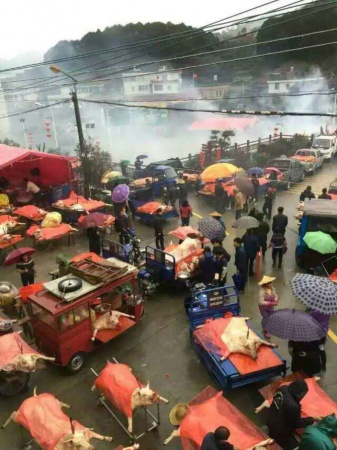 聽說，這是同安蓮花軍營村八年一次的大熱鬧！