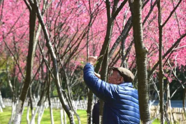 《跑男》要來集美啦！他們竟然要去……