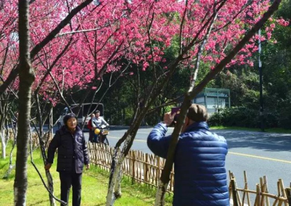 《跑男》要來集美啦！他們竟然要去……