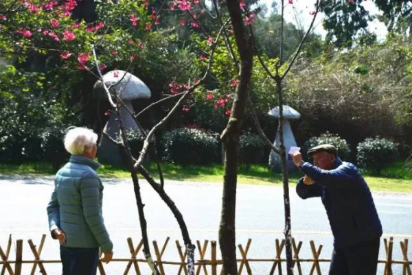 《跑男》要來集美啦！他們竟然要去……