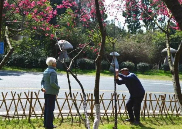 《跑男》要來集美啦！他們竟然要去……