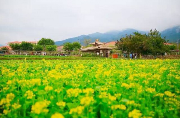 開園啦開園啦海滄灣兒童公園開園啦家長們趕緊奔走相告吧！