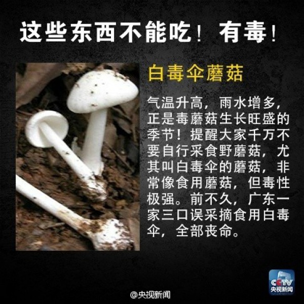 集美人注意！最近千萬別吃它，比毒蛇還毒！目前尚無特殊療法！