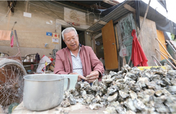 最閩南|杏林高浦：山水高浦，龍聚則地真