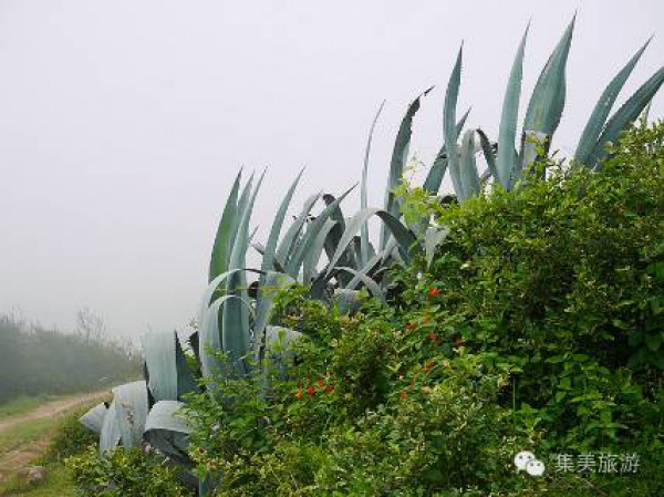 集美周邊游|鎮海衛，守一段天涯海角晴雨時！