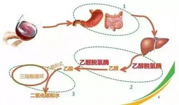 太熱！藿香正氣水賣斷貨……可它和這些同吃等于服毒，你知道嗎？