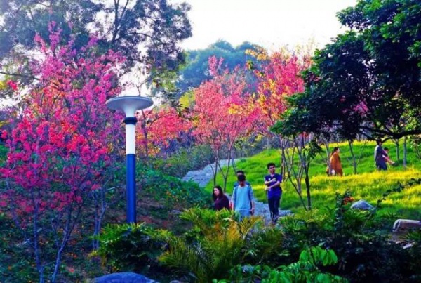 廈門新增這么多公園，快看看有你家附近的嗎！？