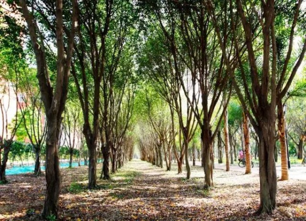 廈門新增這么多公園，快看看有你家附近的嗎！？