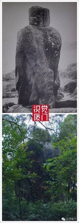 清代廈門著名景觀“和尚石”終于被發現，竟然藏身鴻山公園雜樹從中