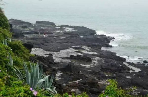 漳州濱海火山島地質文化公園一日游/天天發團