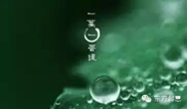 跑什么，前面也在下雨（經典）