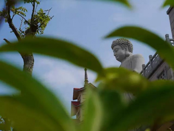 集美周邊游丨普照寺，南太武山下的故土情懷