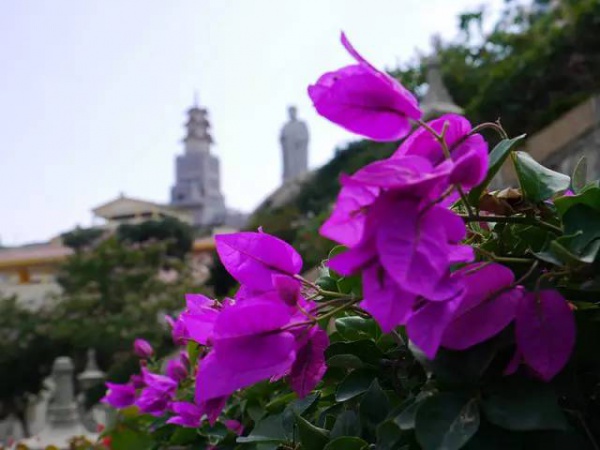 集美周邊游丨普照寺，南太武山下的故土情懷