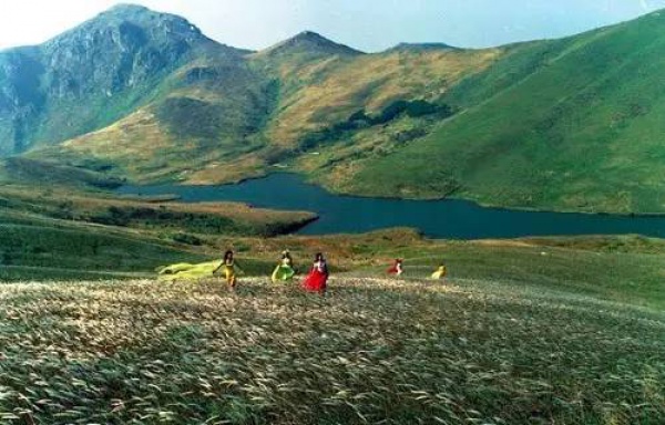 集美周邊游丨這些絕美露營地，我要挨個浪過去，你來嗎？