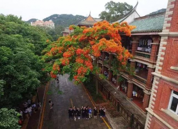 30張圖片告訴你，前幾天在廈門登陸的臺(tái)風(fēng)到底有多牛掰！