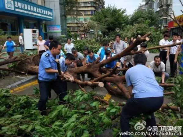 一次臺風，終于看清了廈門人的真面目！