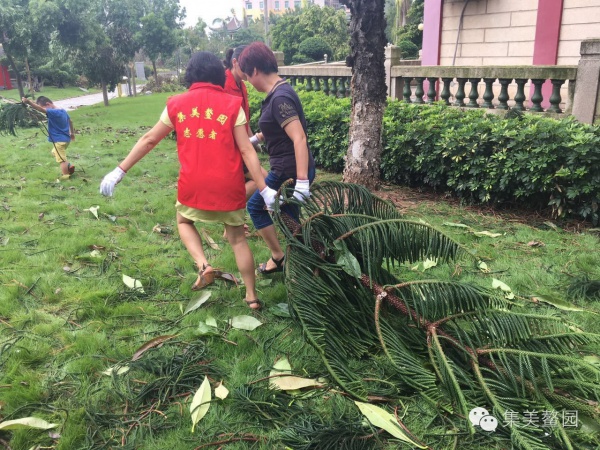 倒是樹木不倒人心