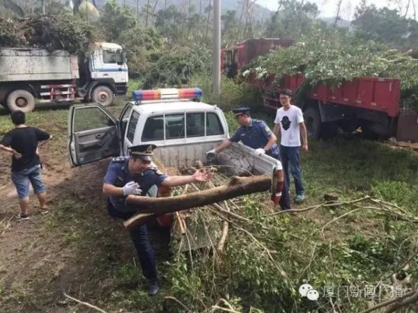 慘遭最強臺風蹂躪，廈門人居然還笑得出來