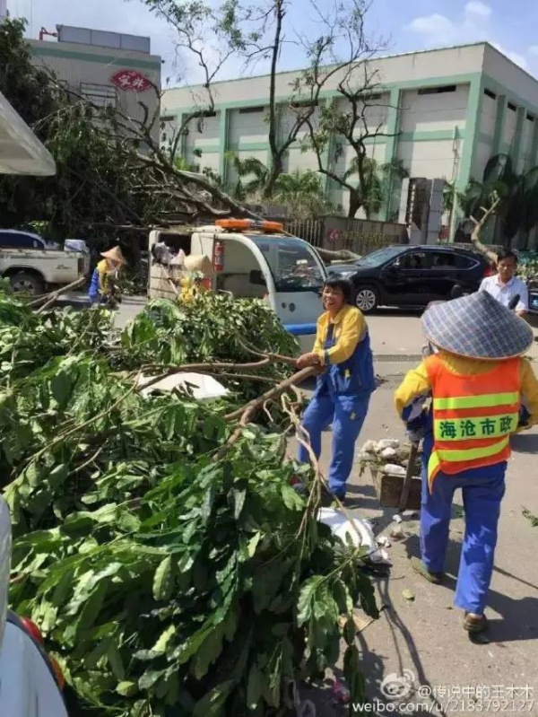 慘遭最強臺風蹂躪，廈門人居然還笑得出來