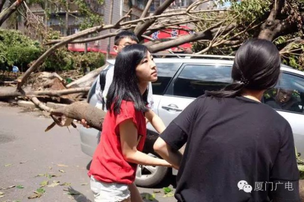 暖心暖城！現在才是廈門最美的樣子～你瞧，臺風過后“鳳凰花”都開了...