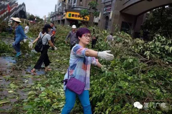 暖心暖城！現在才是廈門最美的樣子～你瞧，臺風過后“鳳凰花”都開了...