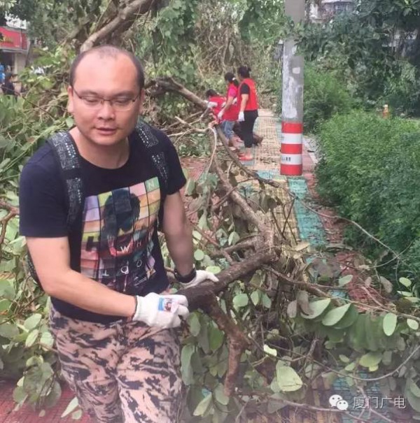 暖心暖城！現在才是廈門最美的樣子～你瞧，臺風過后“鳳凰花”都開了...