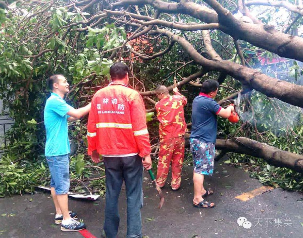 臺(tái)風(fēng)中不能被遺忘的畫面，看一次感動(dòng)一次！