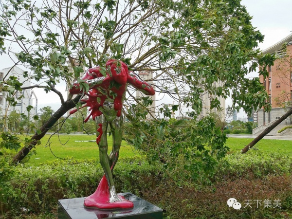 大量獨家航拍：超強臺風(fēng)“莫蘭蒂”過境后，集美12小時震撼實景……