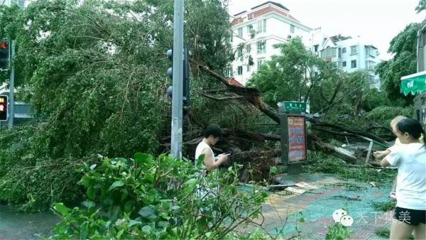 大量獨家航拍：超強臺風(fēng)“莫蘭蒂”過境后，集美12小時震撼實景……