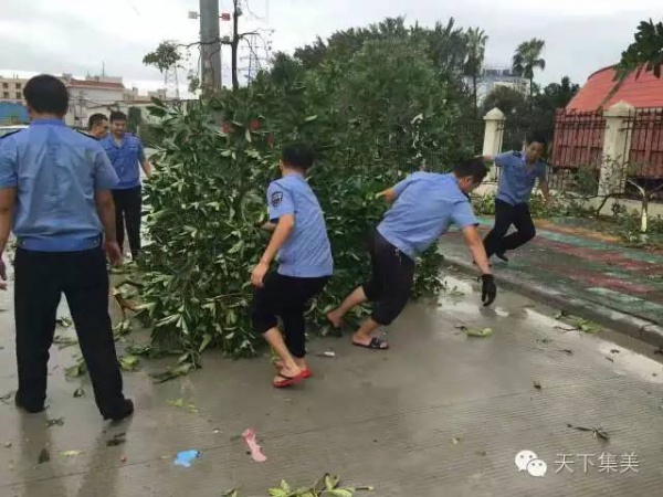 大量獨家航拍：超強臺風(fēng)“莫蘭蒂”過境后，集美12小時震撼實景……