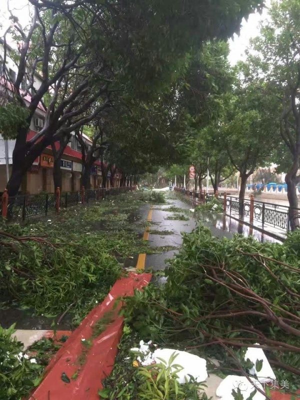 大量獨家航拍：超強臺風(fēng)“莫蘭蒂”過境后，集美12小時震撼實景……