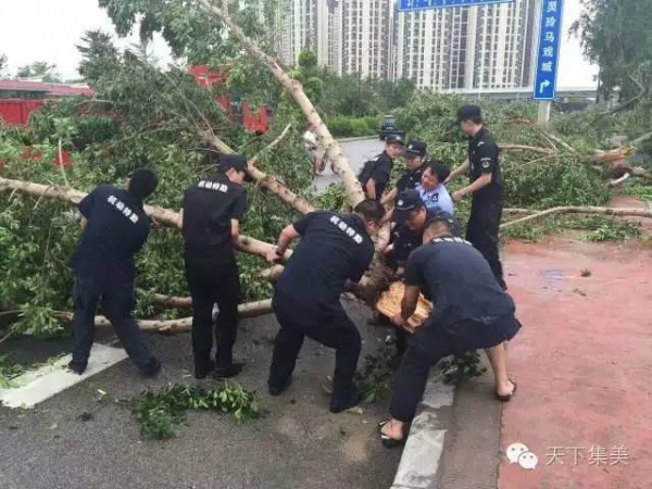 大量獨家航拍：超強臺風(fēng)“莫蘭蒂”過境后，集美12小時震撼實景……