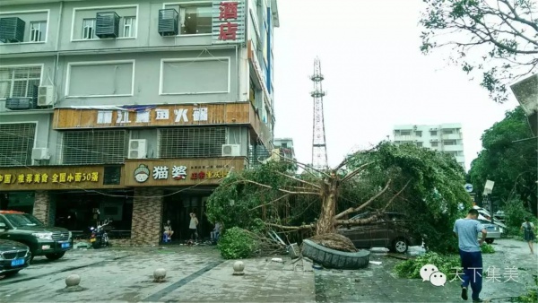 大量獨家航拍：超強臺風(fēng)“莫蘭蒂”過境后，集美12小時震撼實景……