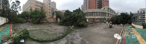 大量獨家航拍：超強臺風(fēng)“莫蘭蒂”過境后，集美12小時震撼實景……