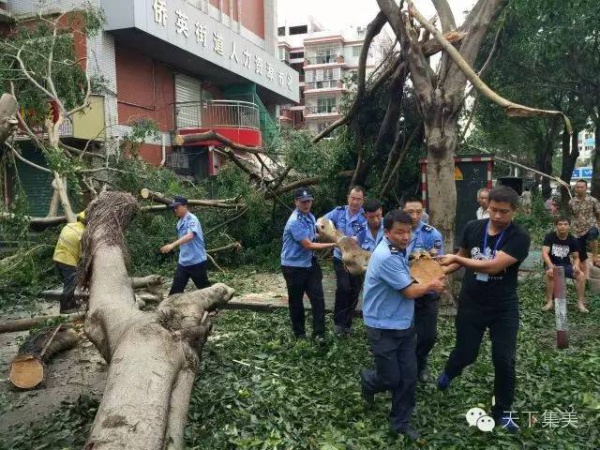 大量獨家航拍：超強臺風(fēng)“莫蘭蒂”過境后，集美12小時震撼實景……