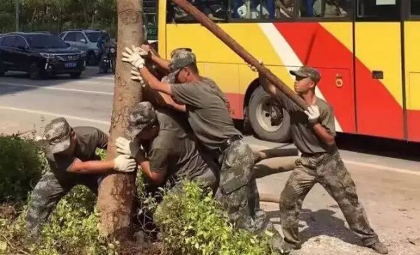 重要提示：重建家園鼓舞士氣需要您的一份力！