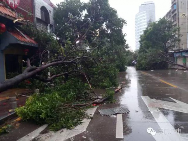 緊急！“鲇魚”路徑直指廈門！風圈比“莫蘭蒂”大一倍！廈門又拉警報了…