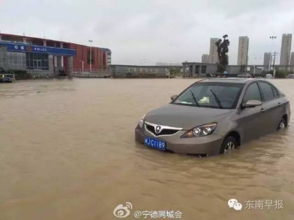 一條鲇魚淹幾座城，新臺風緊隨其后！廈門從不缺段子手...