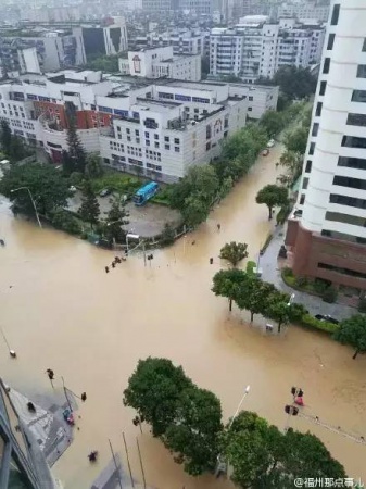 一條鲇魚淹幾座城，新臺風緊隨其后！廈門從不缺段子手...