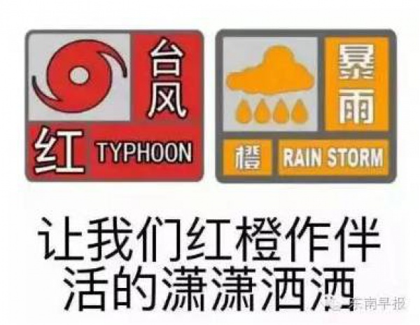 一條鲇魚淹幾座城，新臺風緊隨其后！廈門從不缺段子手...