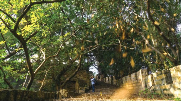 舊城墻遺址：廈門建城的見證